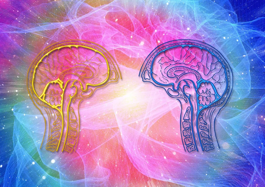 ʲô�ǘO���w�(y��n)��