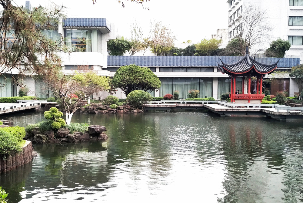 �����S���