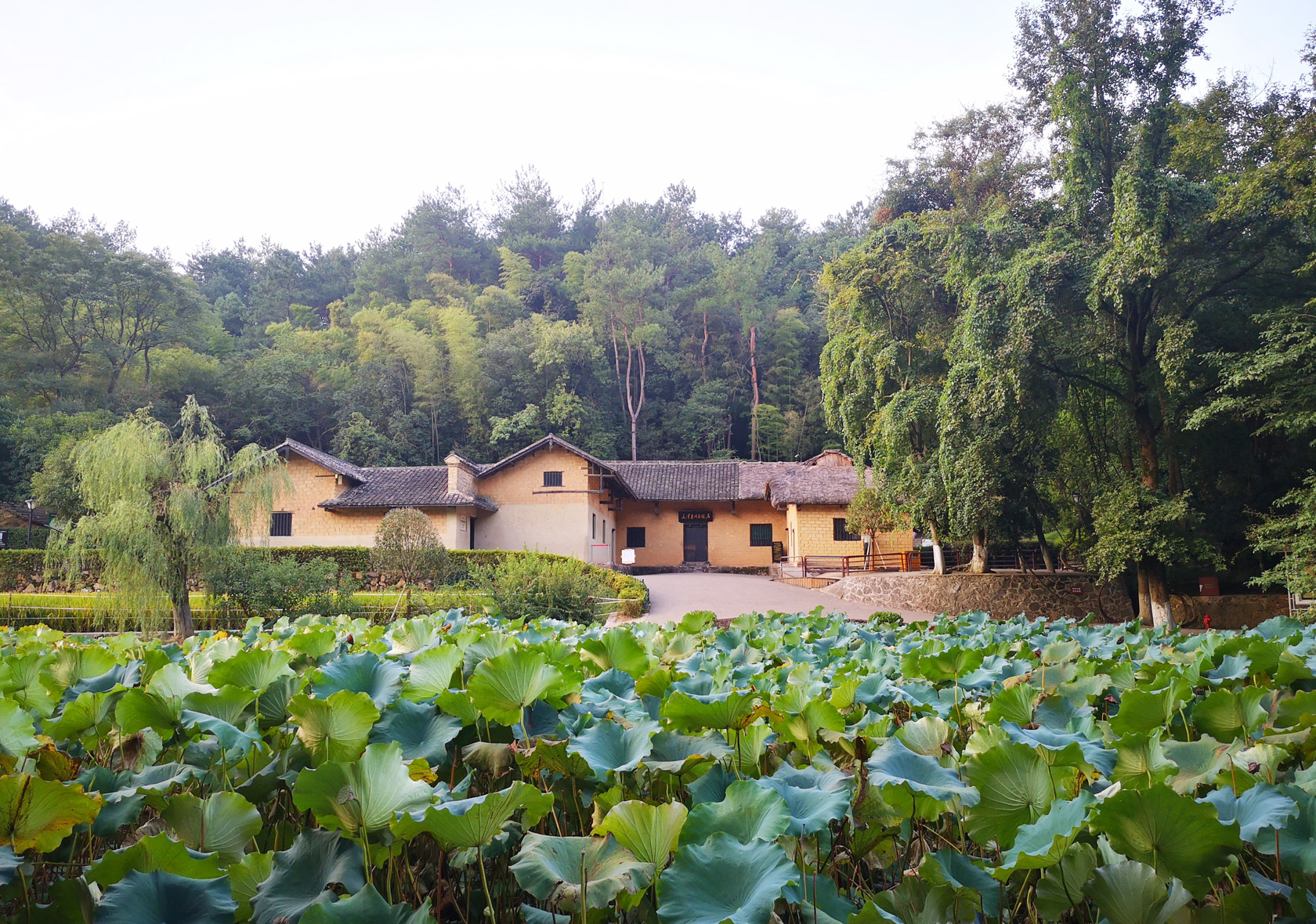 ��̶ë�ɖ|�ʾ�