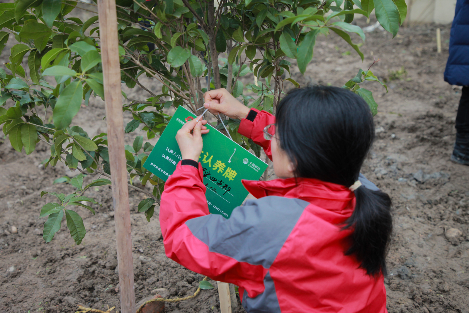 ���J�B(y��ng)��