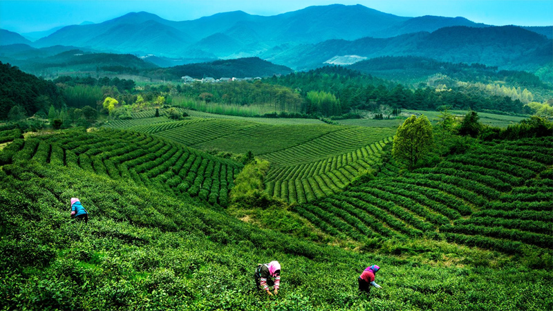 �Ї�(gu��)���(hu��)�ƌW(xu��)��(b��o)����������(du��)ؚ�� ������ͬ��ԣ