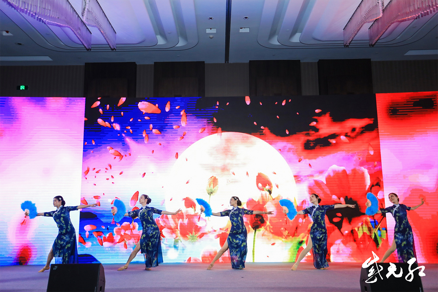 �ŵ��赸����