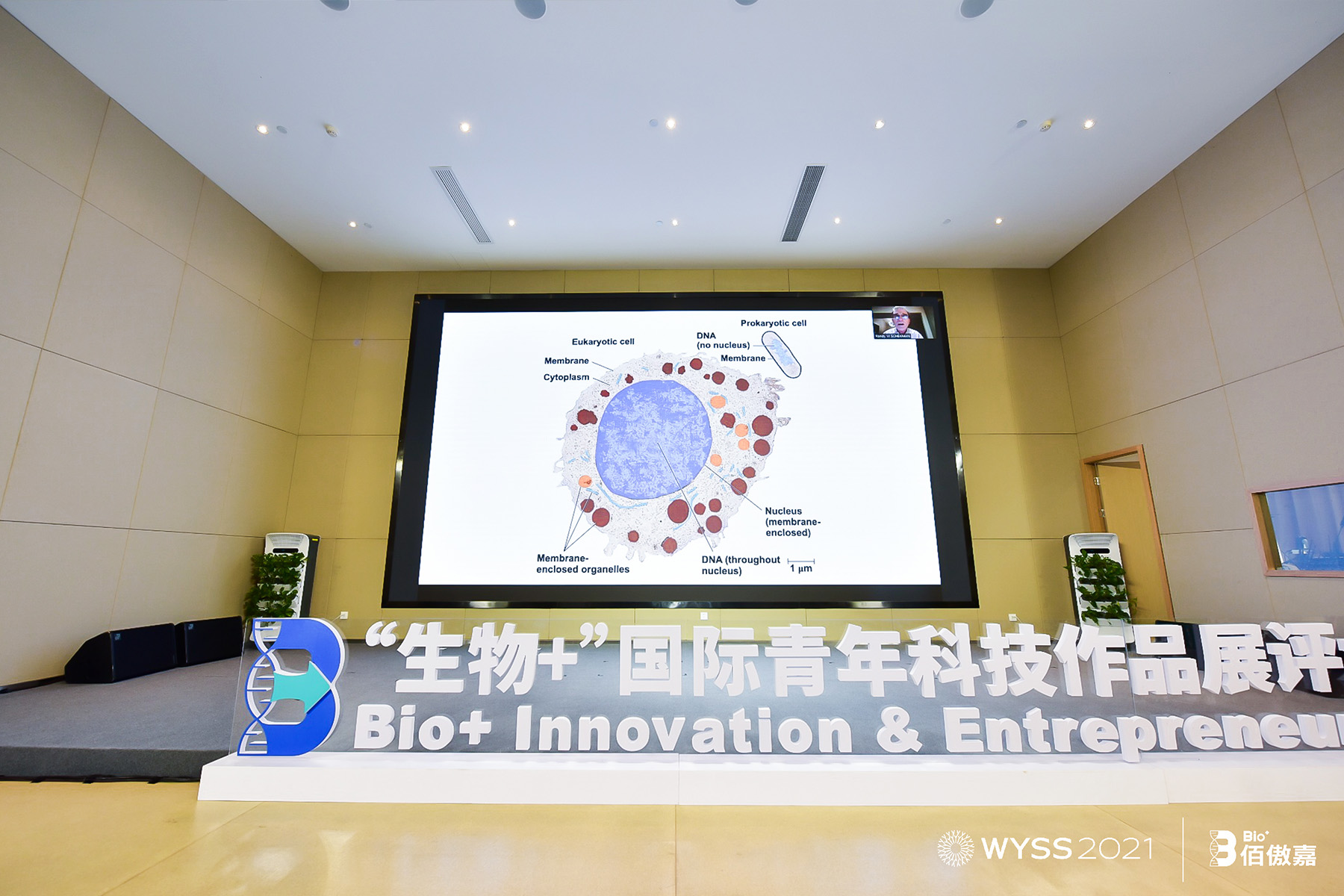 �Zؐ������W���t(y��)�W�������m��-�x�����������v