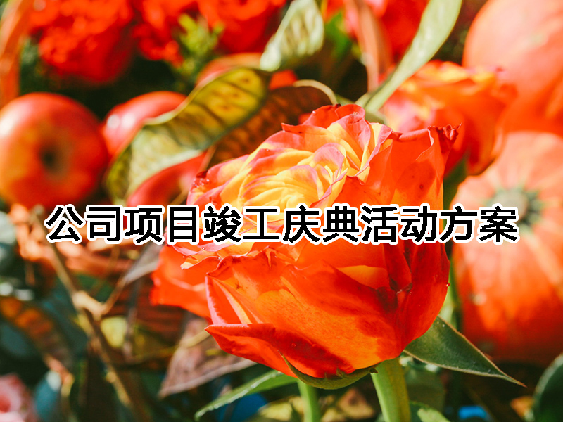 ��˾�(xi��ng)Ŀ�����c���ӷ���