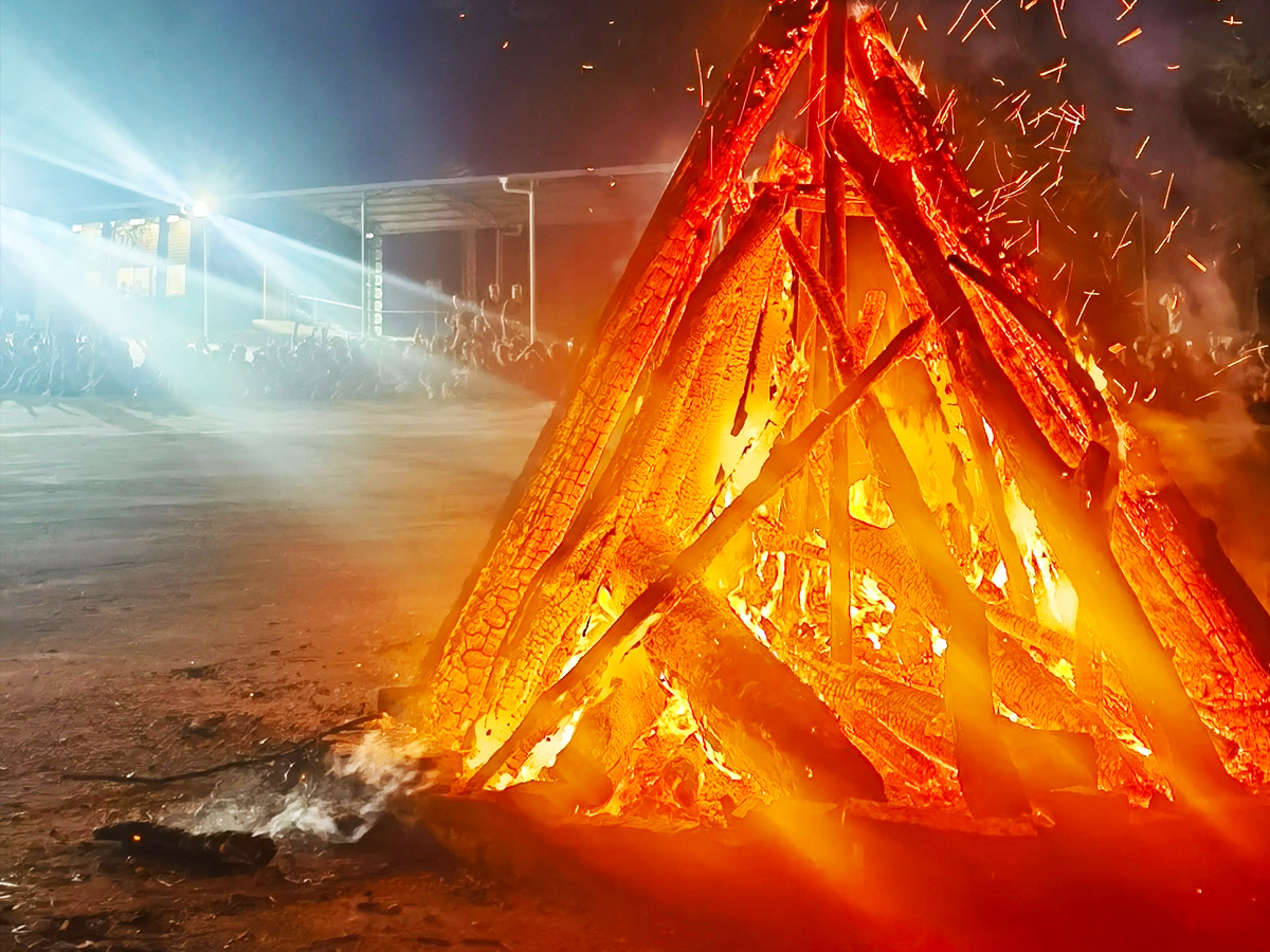 �����(zh��n)��