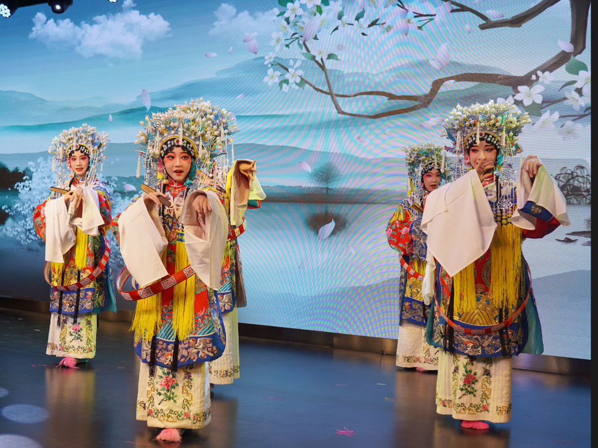 ��������