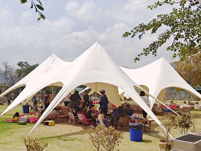 ��˾������չ��Ӳ߄���������